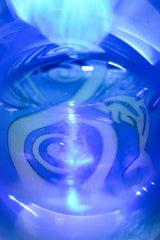 Dolphinitive Swirl